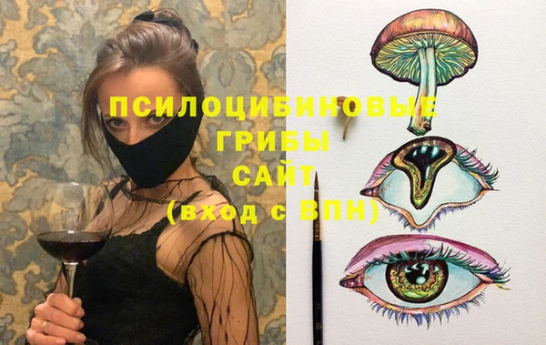 мет Елизово