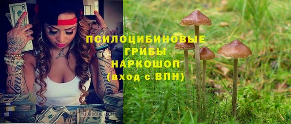 мет Елизово