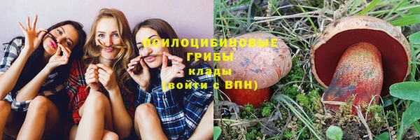 мет Елизово