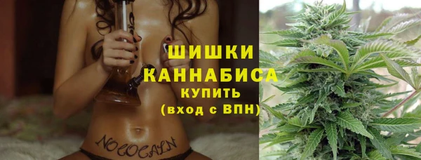 мет Елизово