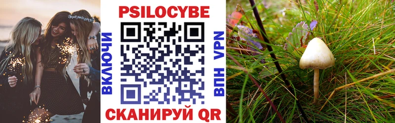 Купить где  Великие Луки  Псилоцибиновые грибы мухоморы 